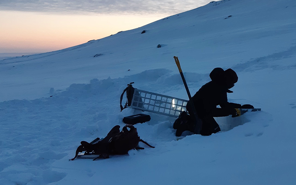 échantillonnage de la neige sentinelle nord