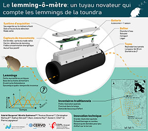 The Lemming-ô-mètre: un tuyau novateur qui compte les lemmings de la toundra