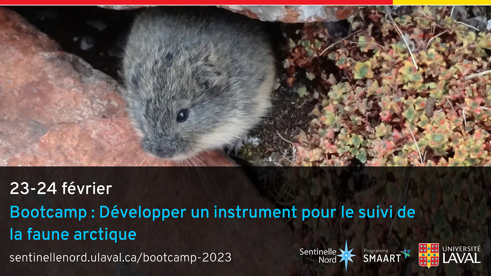 Bootcamp Developper un instrument pour le suivi de la faune arctique sentinelle nord