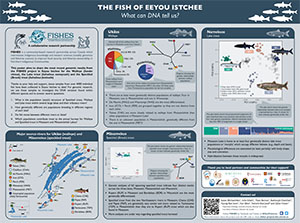 The fish of Eeyou Istchee.  What can DNA tell us?