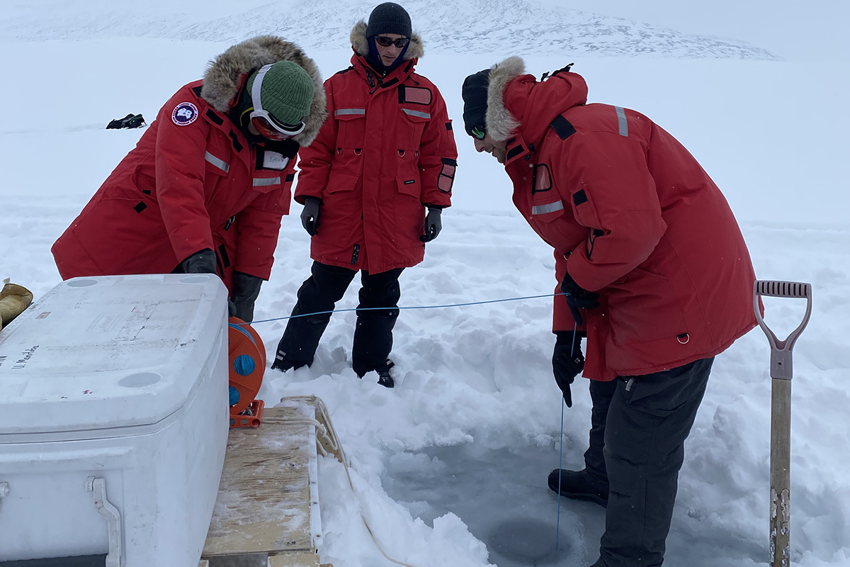 École sur la glace de mer sentinelle nord