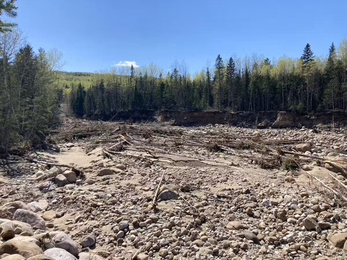 Comprendre le rôle du couvert de neige en forêt pour mieux prédire le risque d’inondation Sentinelle Nord